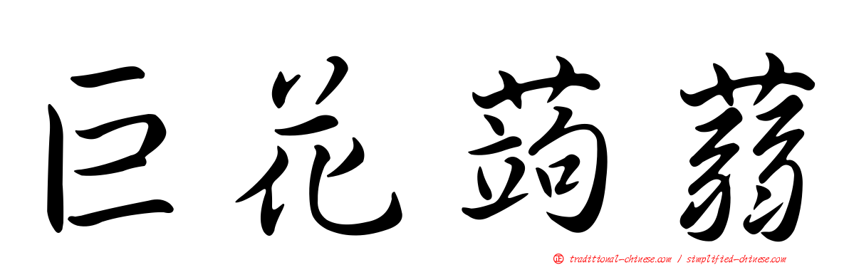巨花蒟蒻