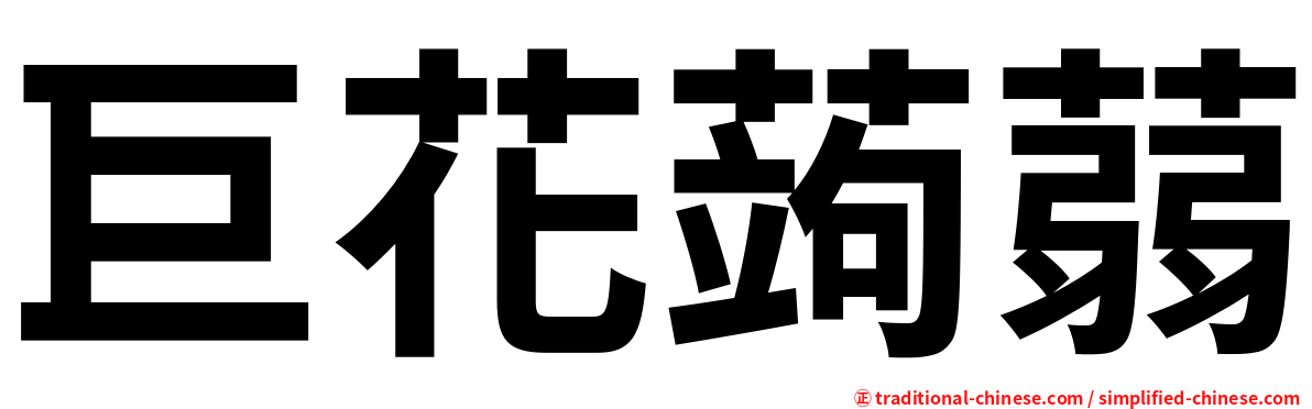巨花蒟蒻