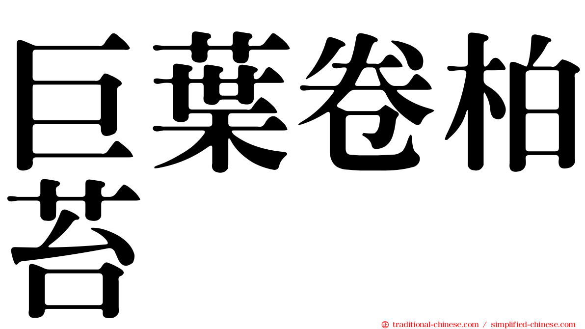 巨葉卷柏苔