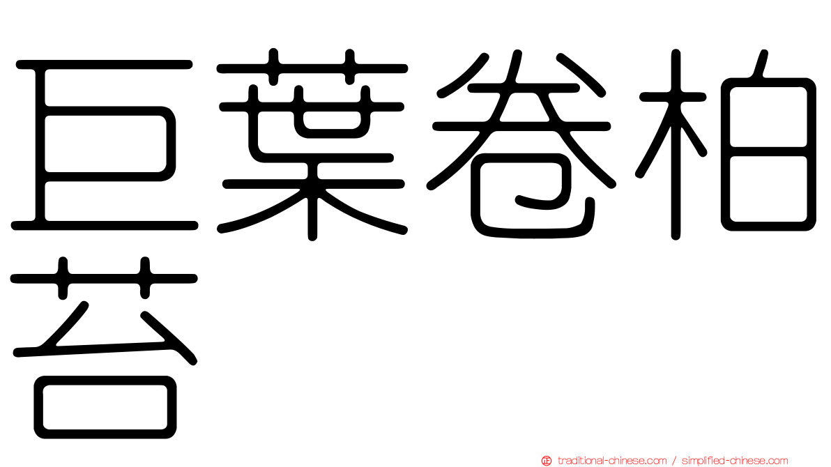 巨葉卷柏苔