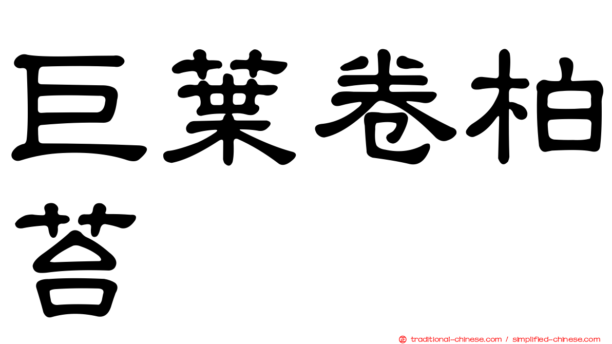 巨葉卷柏苔