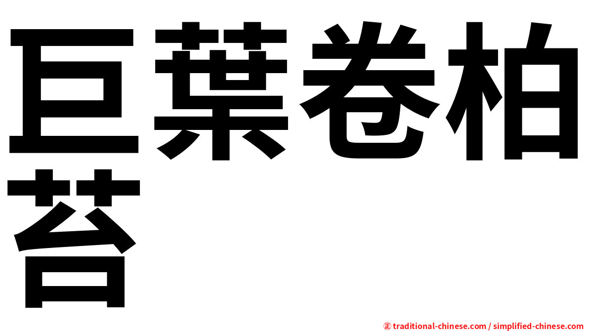 巨葉卷柏苔