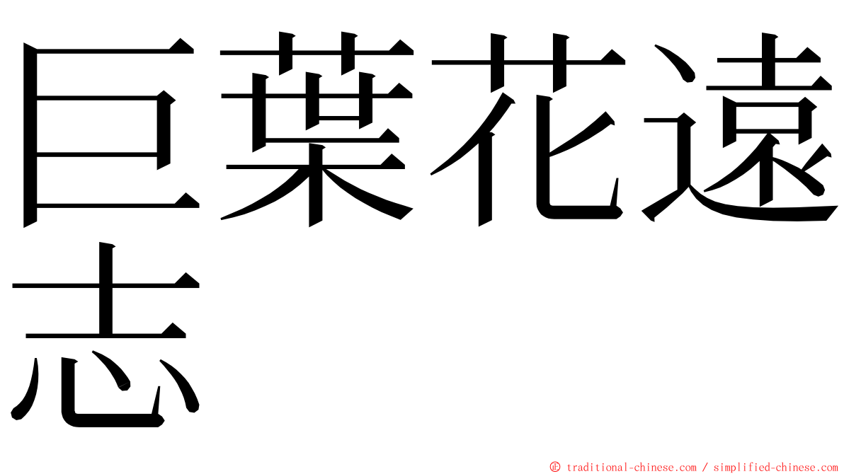 巨葉花遠志 ming font