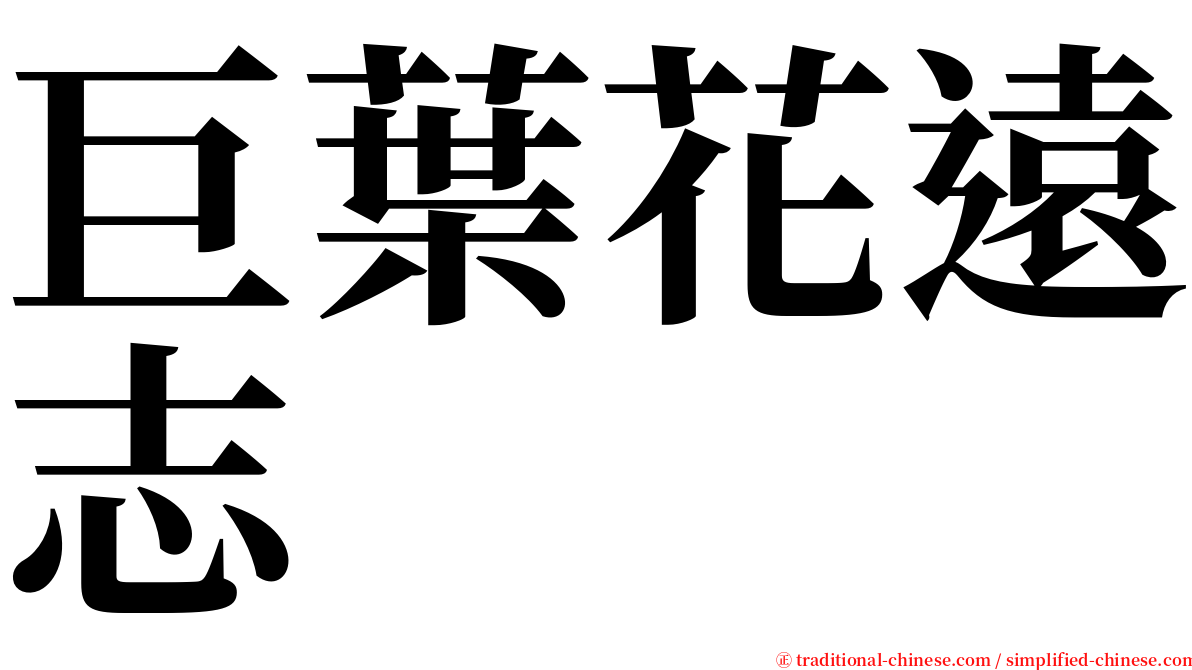 巨葉花遠志 serif font