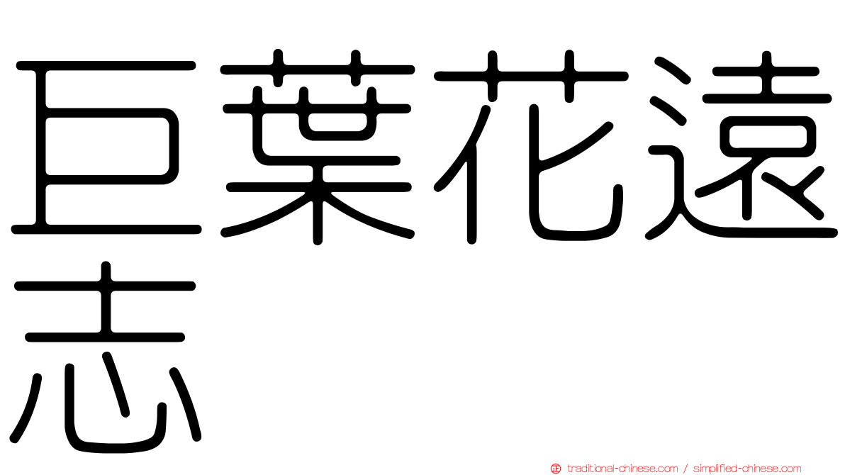 巨葉花遠志