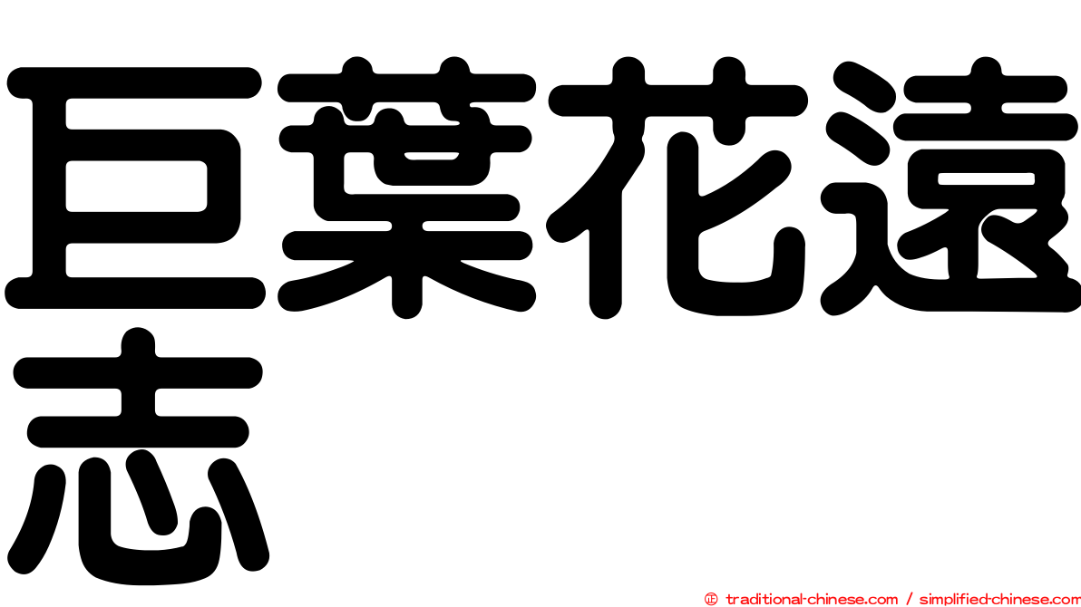 巨葉花遠志