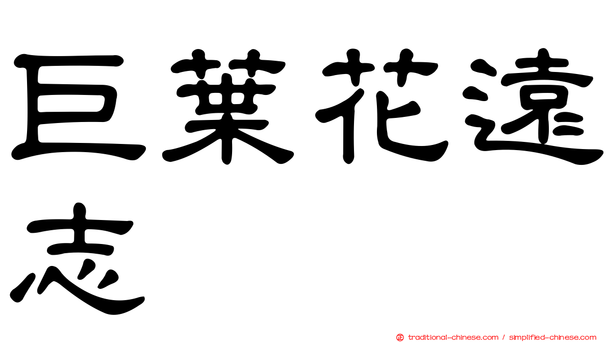 巨葉花遠志