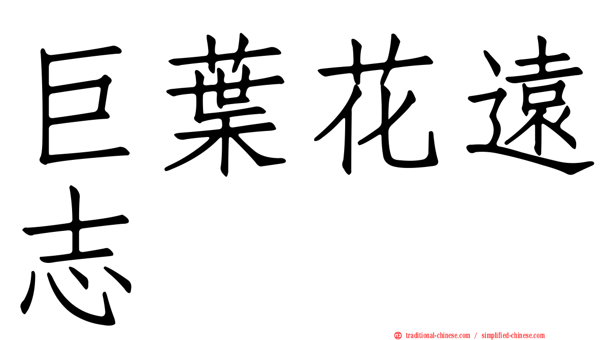 巨葉花遠志