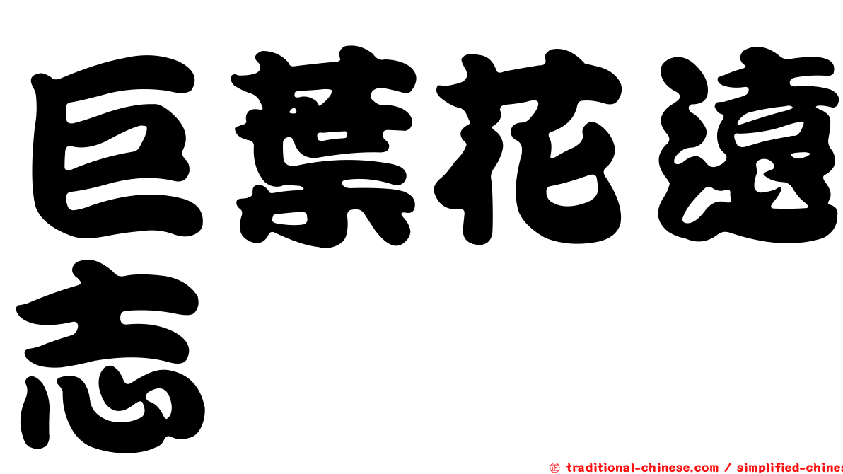 巨葉花遠志