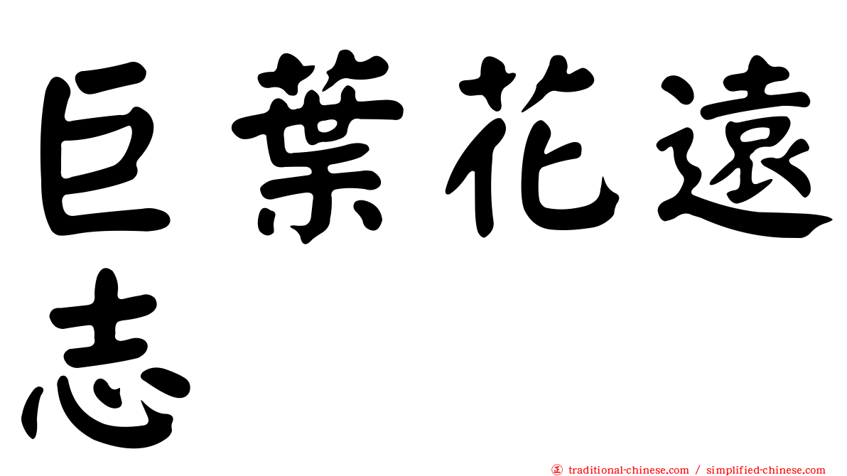 巨葉花遠志