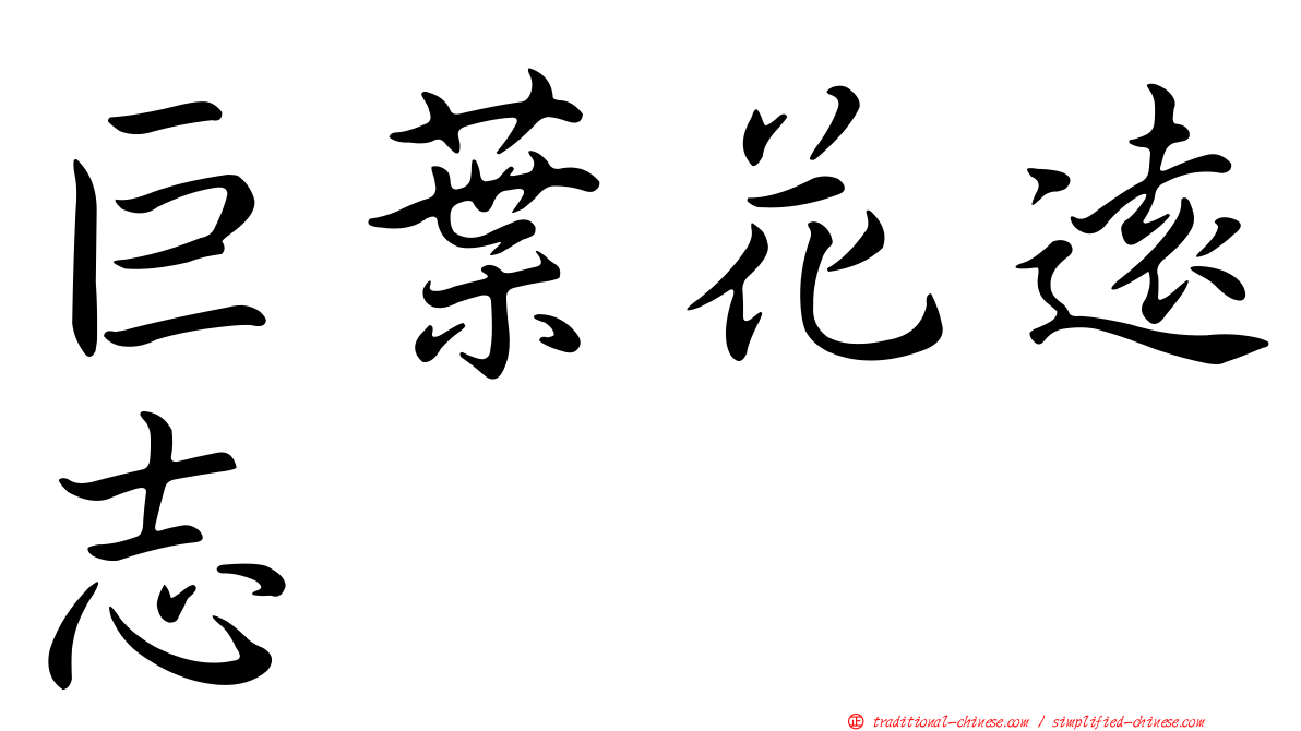 巨葉花遠志
