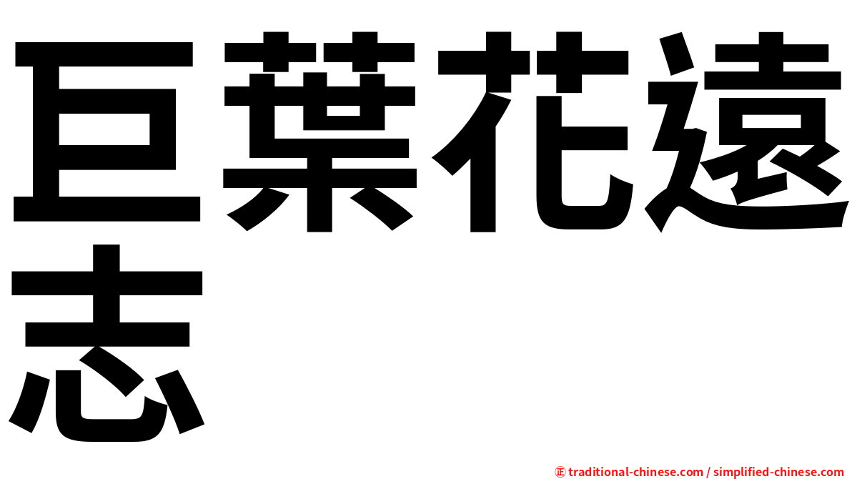 巨葉花遠志
