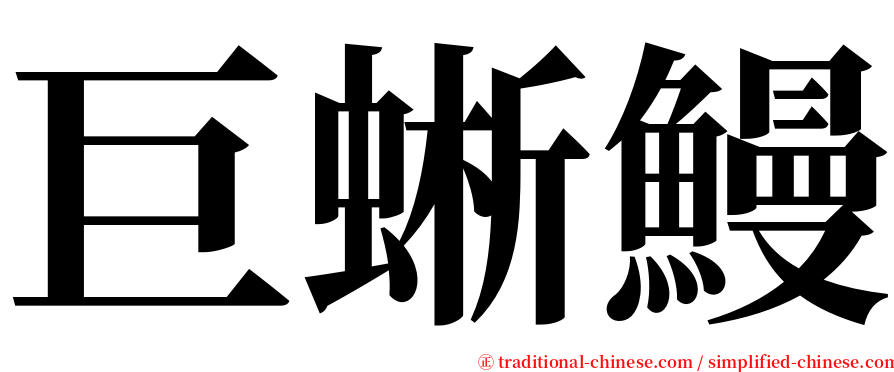 巨蜥鰻 serif font