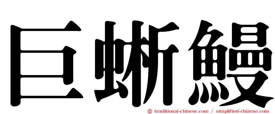 巨蜥鰻