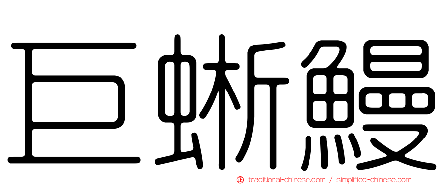 巨蜥鰻