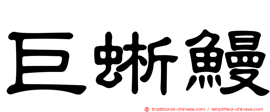 巨蜥鰻