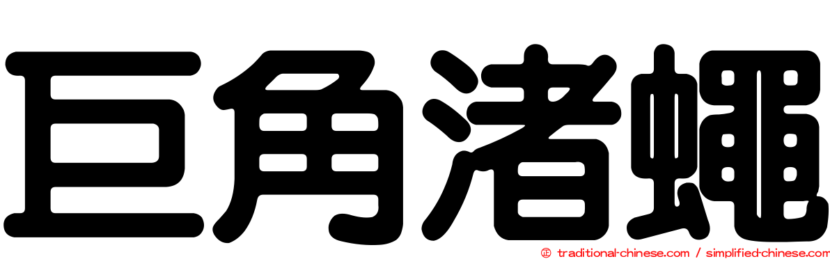 巨角渚蠅