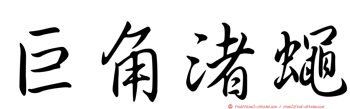 巨角渚蠅