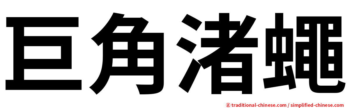巨角渚蠅