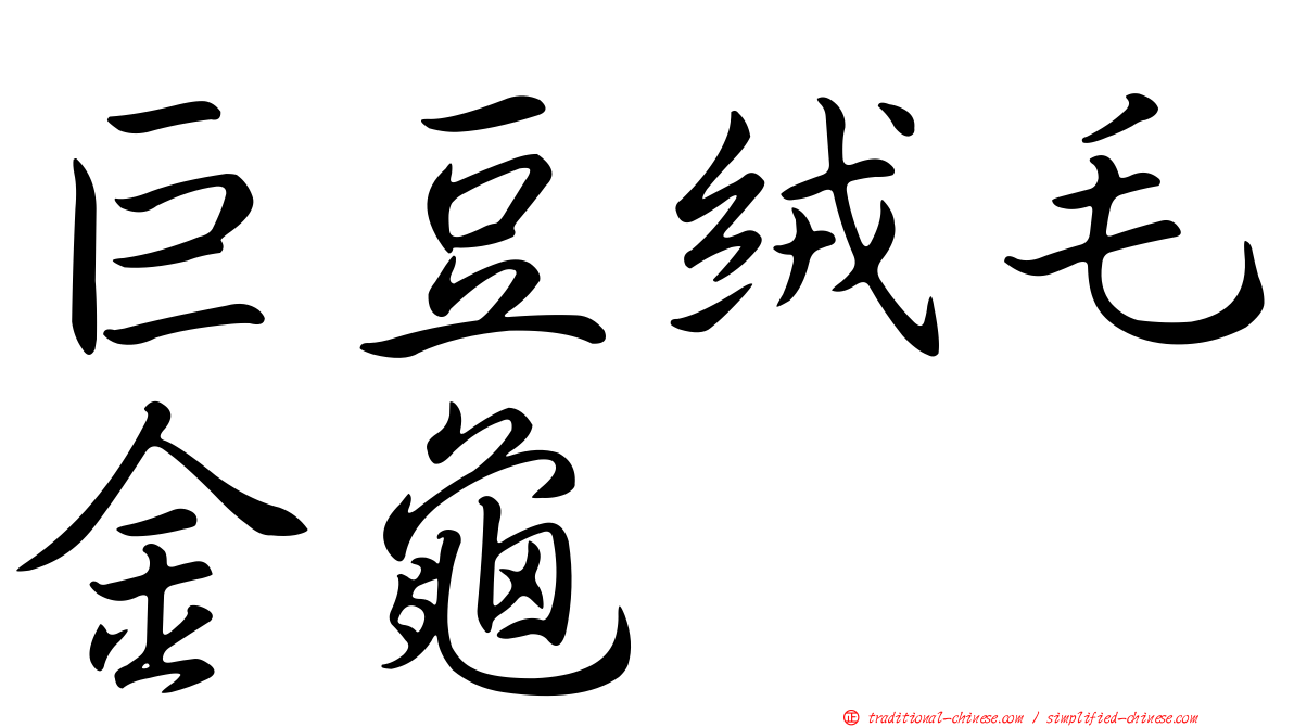 巨豆絨毛金龜