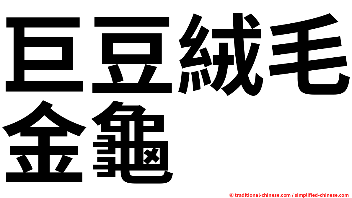 巨豆絨毛金龜