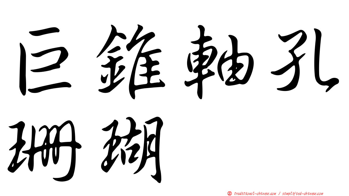 巨錐軸孔珊瑚
