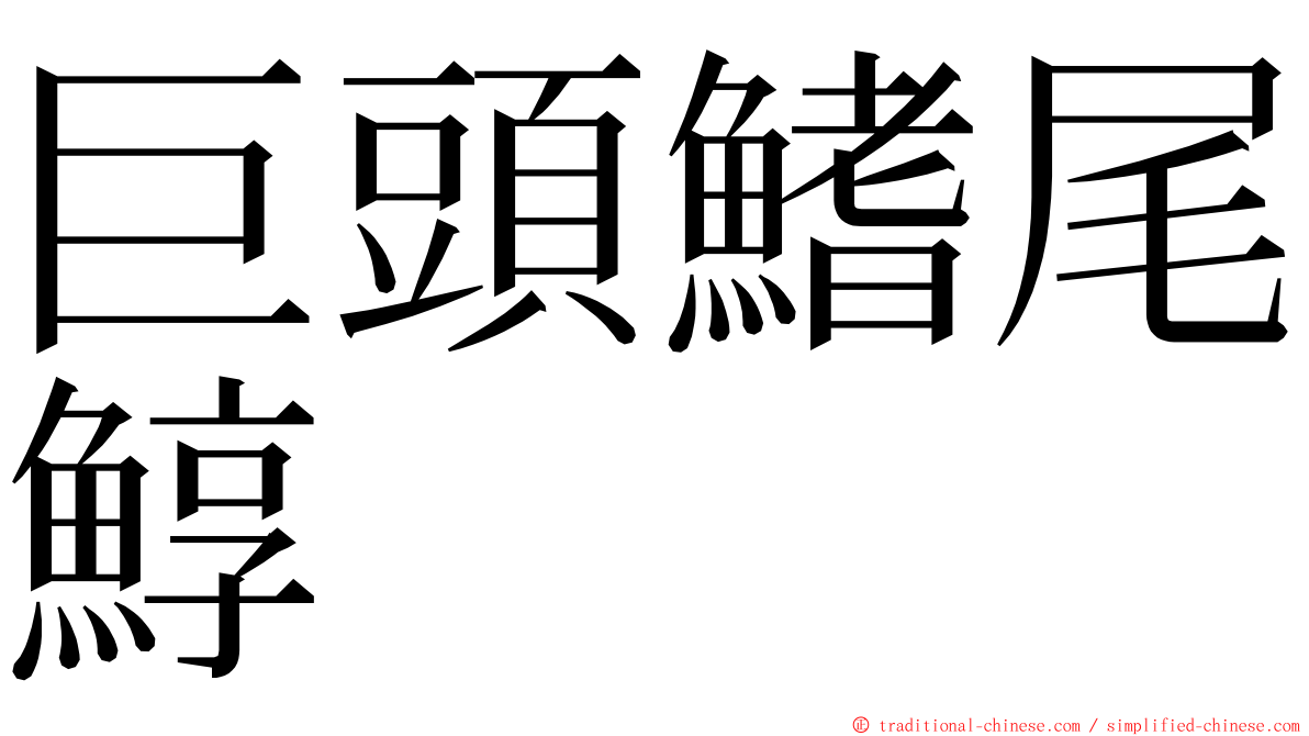 巨頭鰭尾鯙 ming font