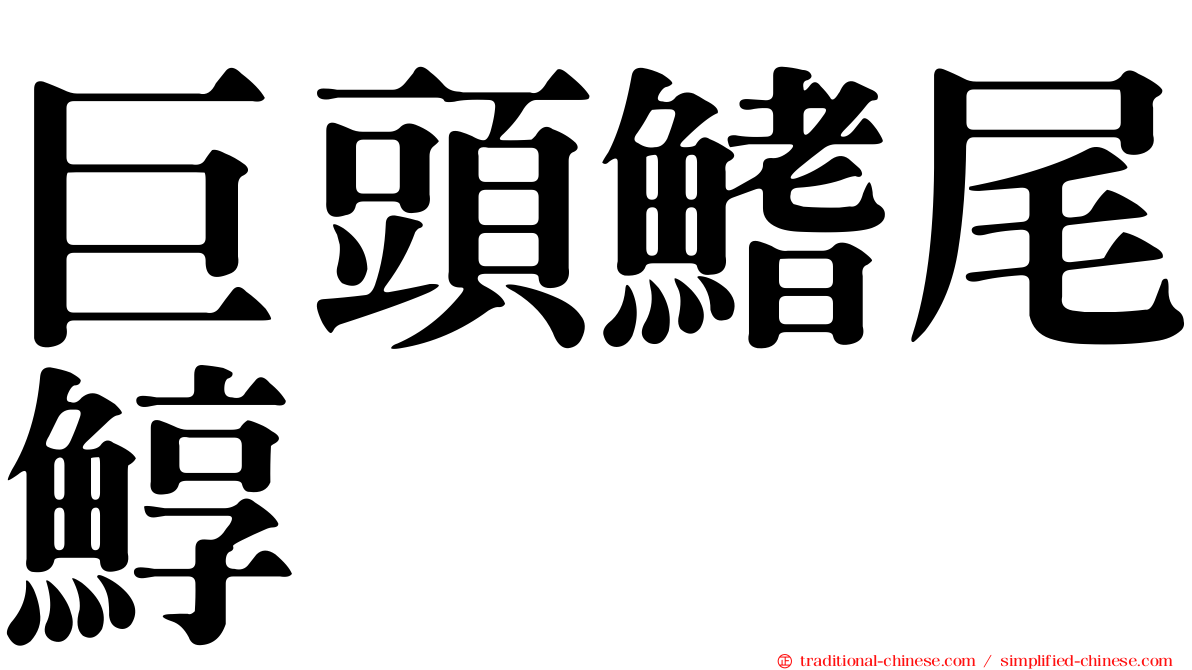 巨頭鰭尾鯙
