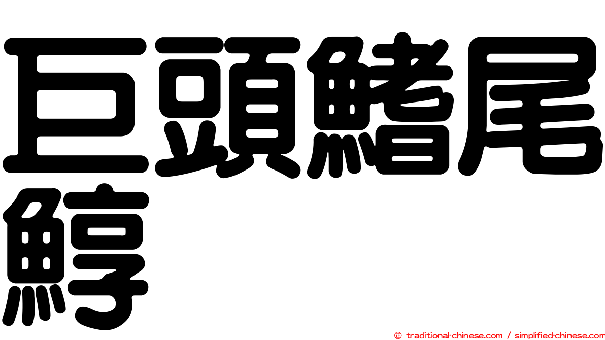 巨頭鰭尾鯙