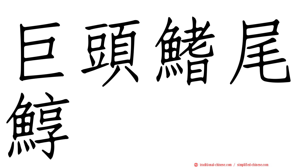 巨頭鰭尾鯙
