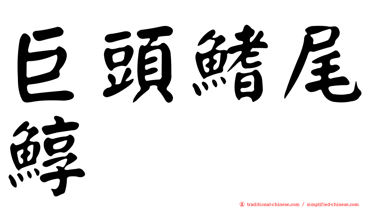 巨頭鰭尾鯙