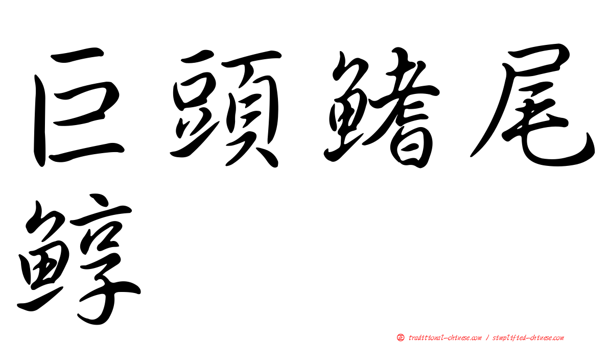 巨頭鰭尾鯙
