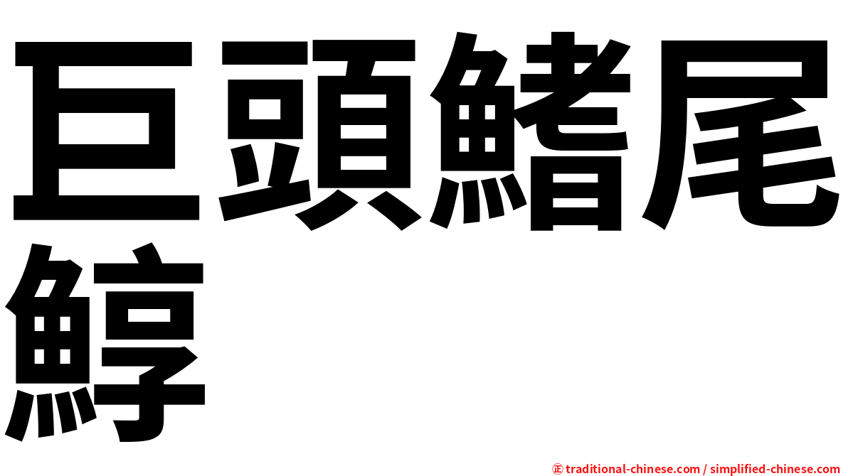 巨頭鰭尾鯙