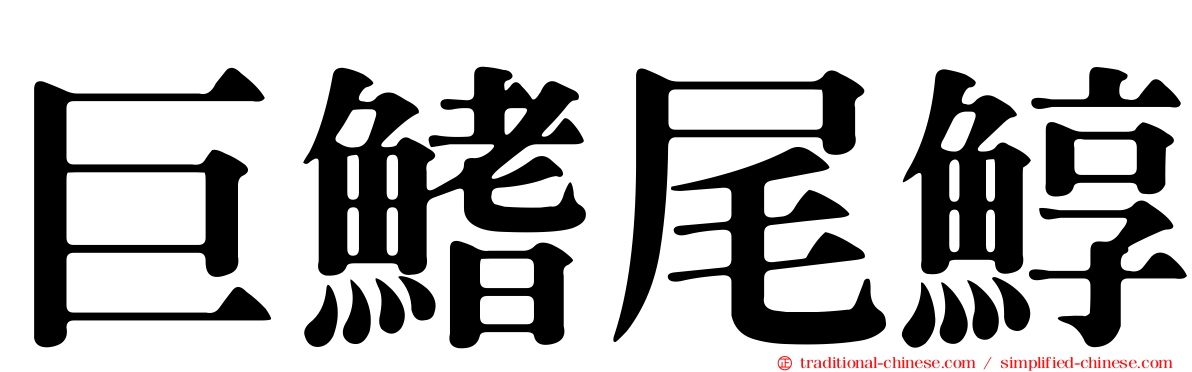巨鰭尾鯙