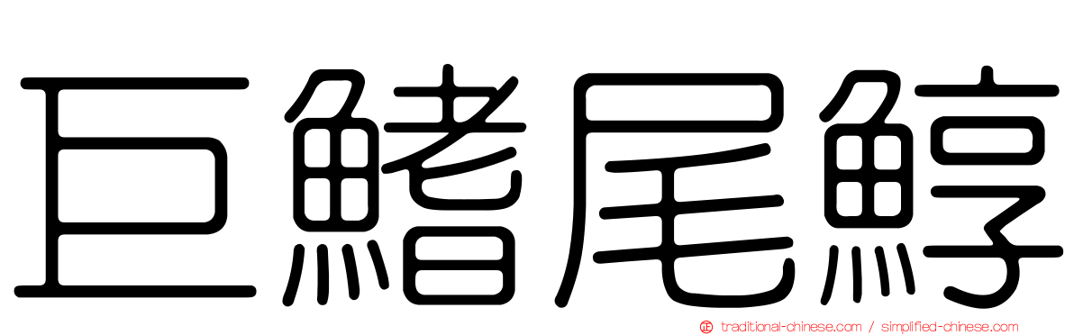 巨鰭尾鯙