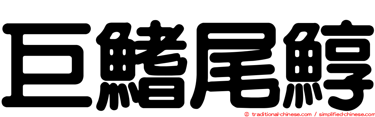 巨鰭尾鯙
