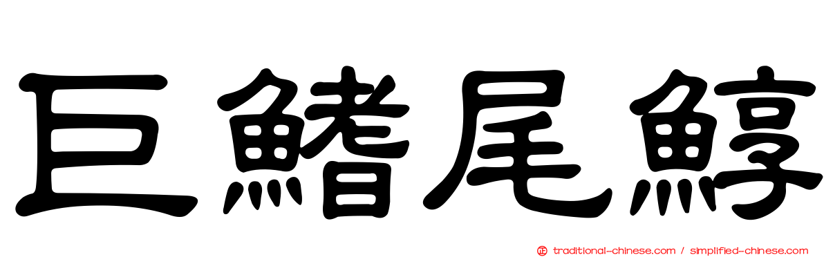 巨鰭尾鯙