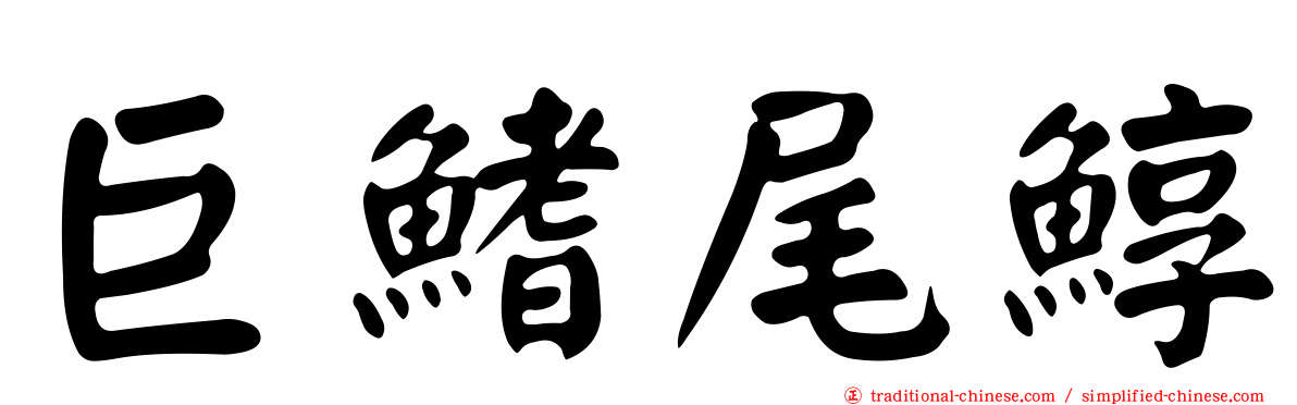 巨鰭尾鯙