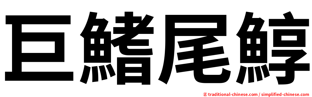 巨鰭尾鯙