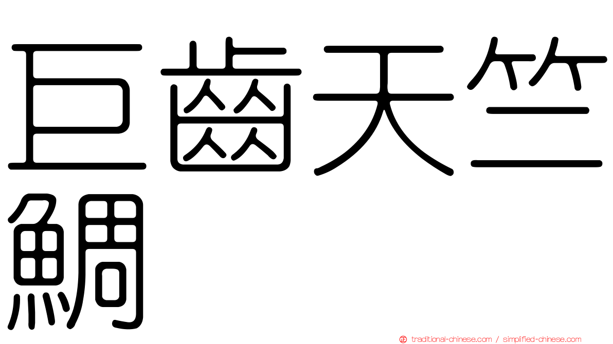 巨齒天竺鯛