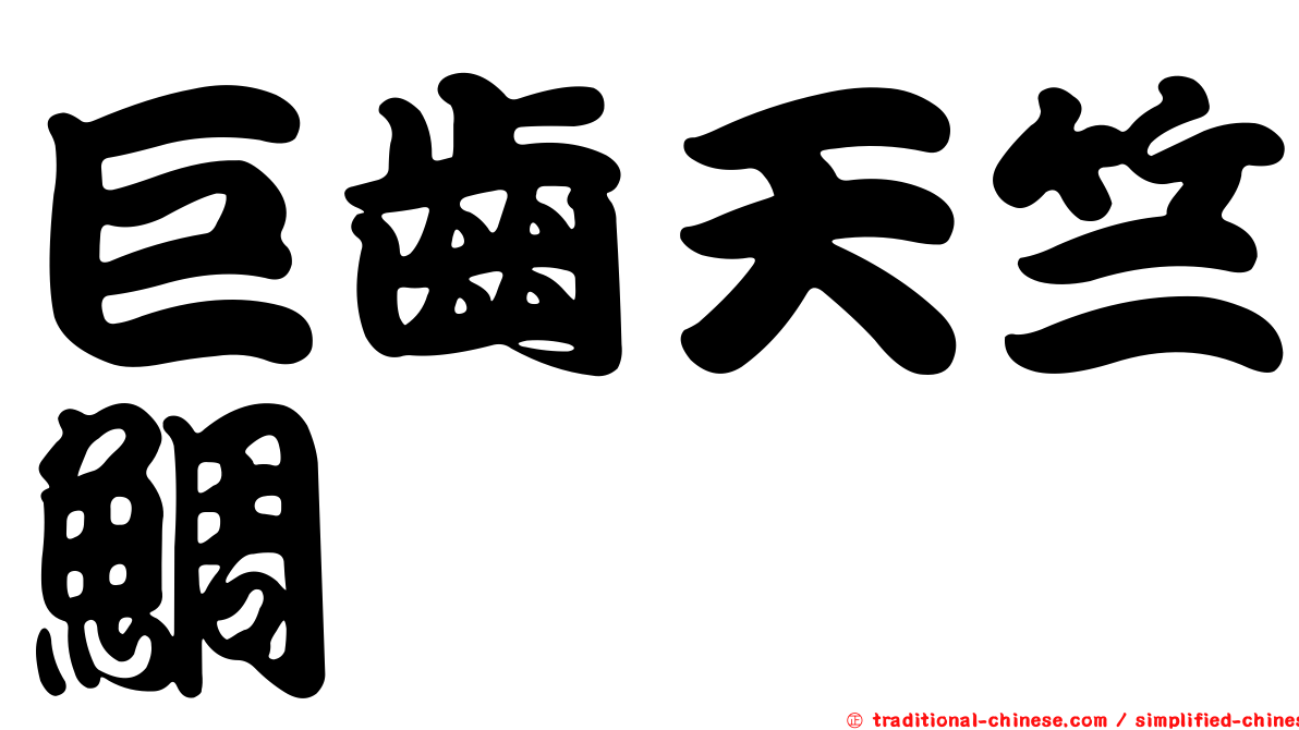 巨齒天竺鯛