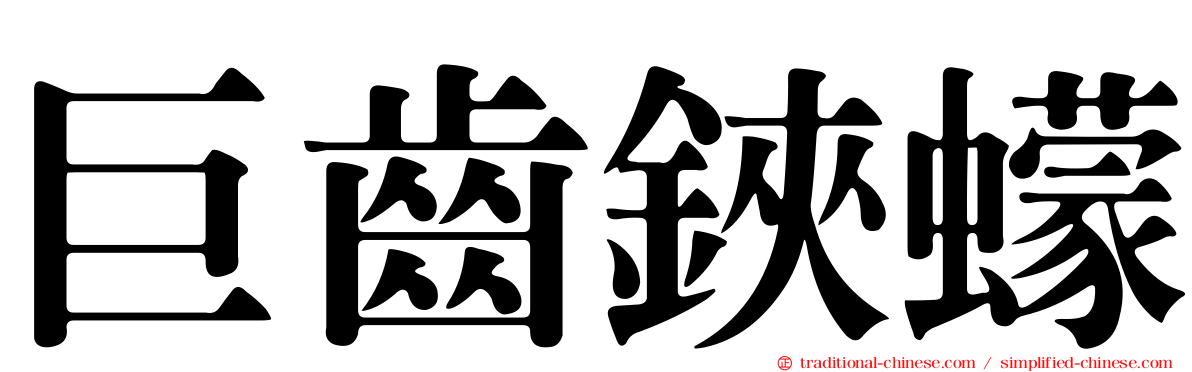 巨齒鋏蠓