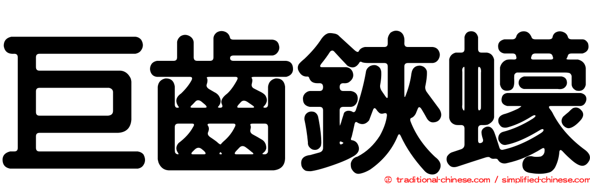 巨齒鋏蠓