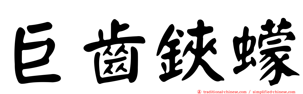 巨齒鋏蠓