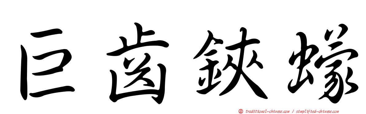 巨齒鋏蠓