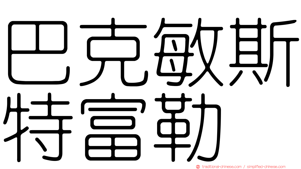 巴克敏斯特富勒