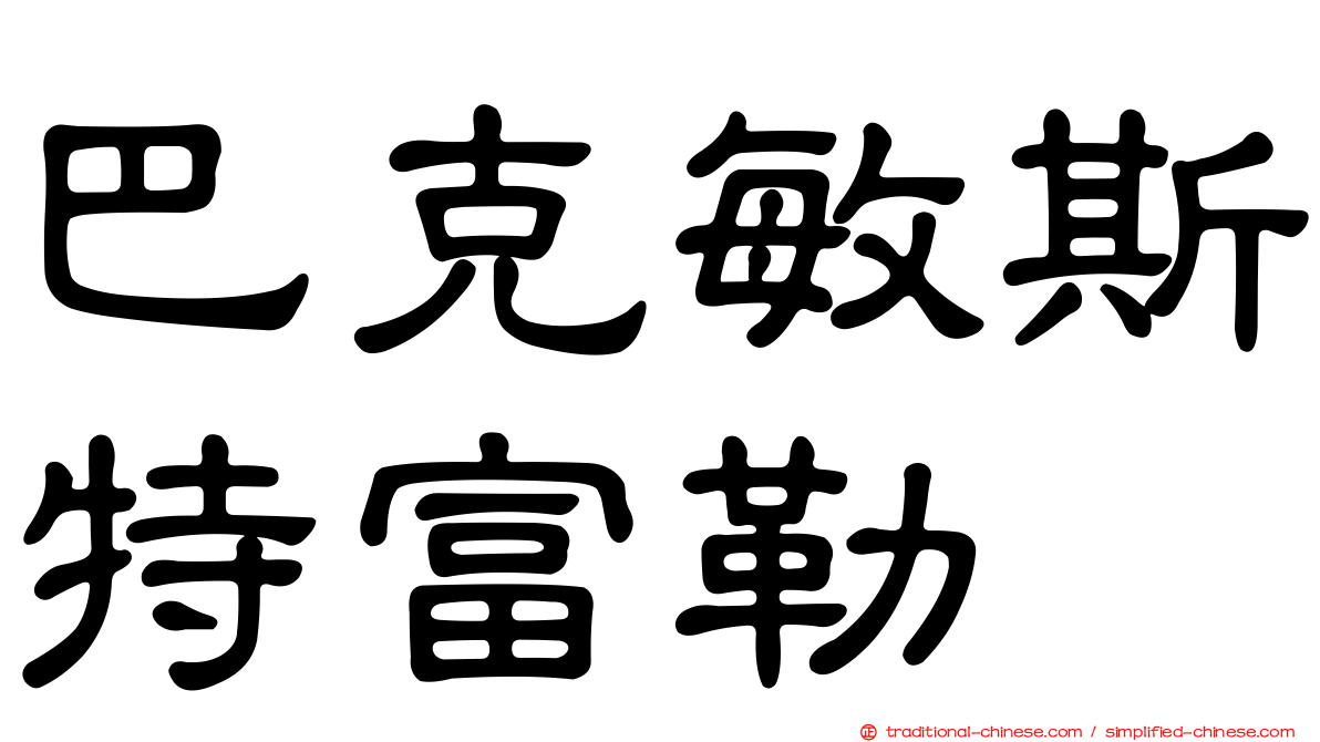 巴克敏斯特富勒