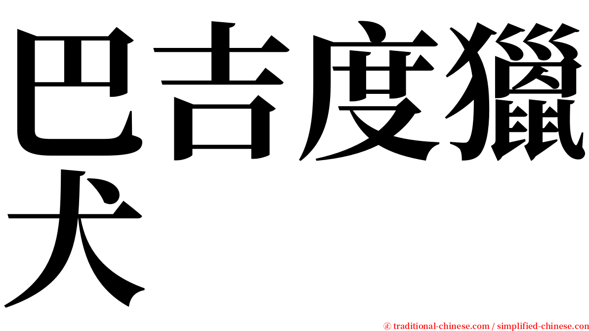 巴吉度獵犬 serif font