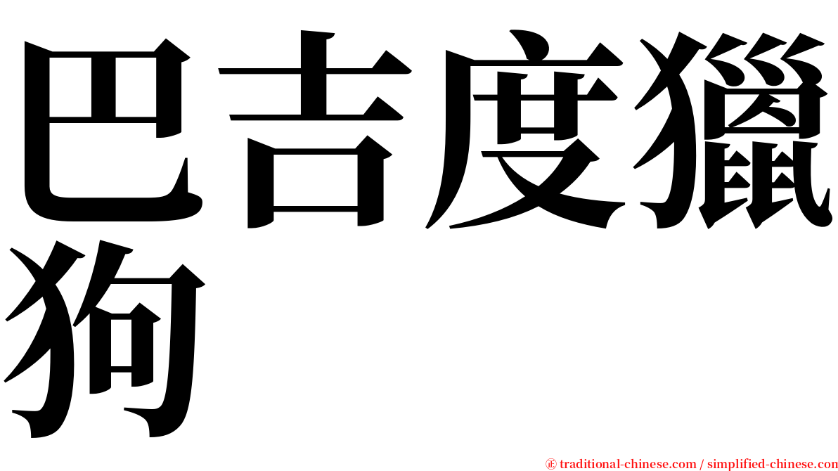 巴吉度獵狗 serif font