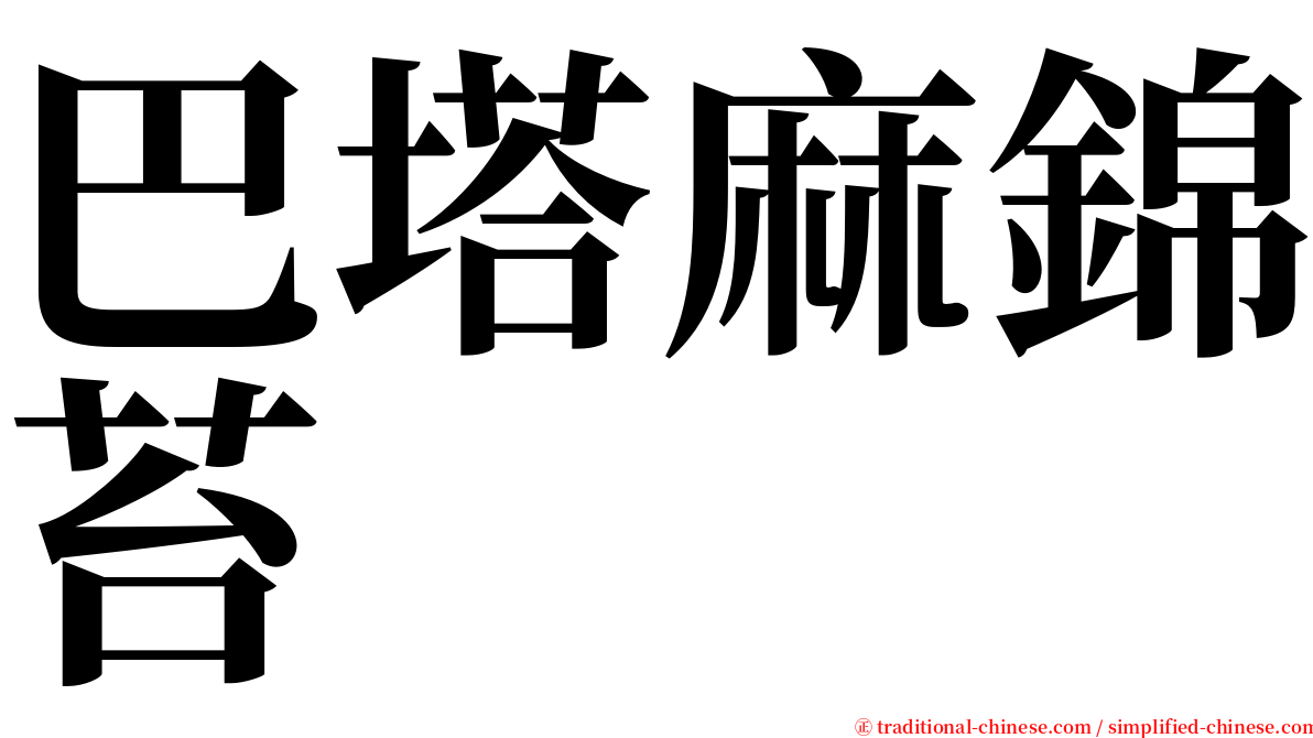 巴塔麻錦苔 serif font